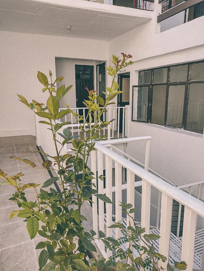Hostel Casa Maguey Oaxaca Экстерьер фото