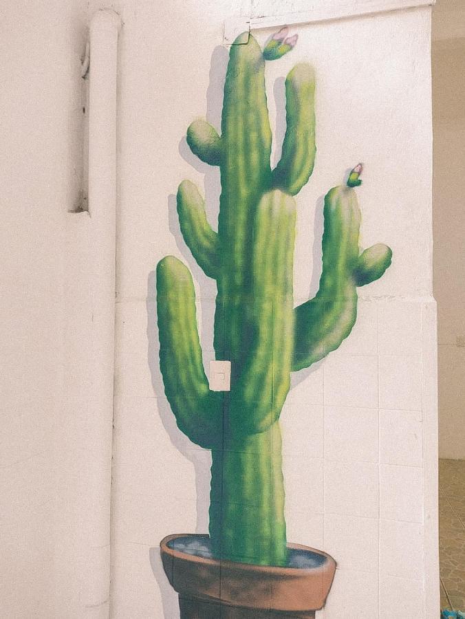 Hostel Casa Maguey Oaxaca Экстерьер фото