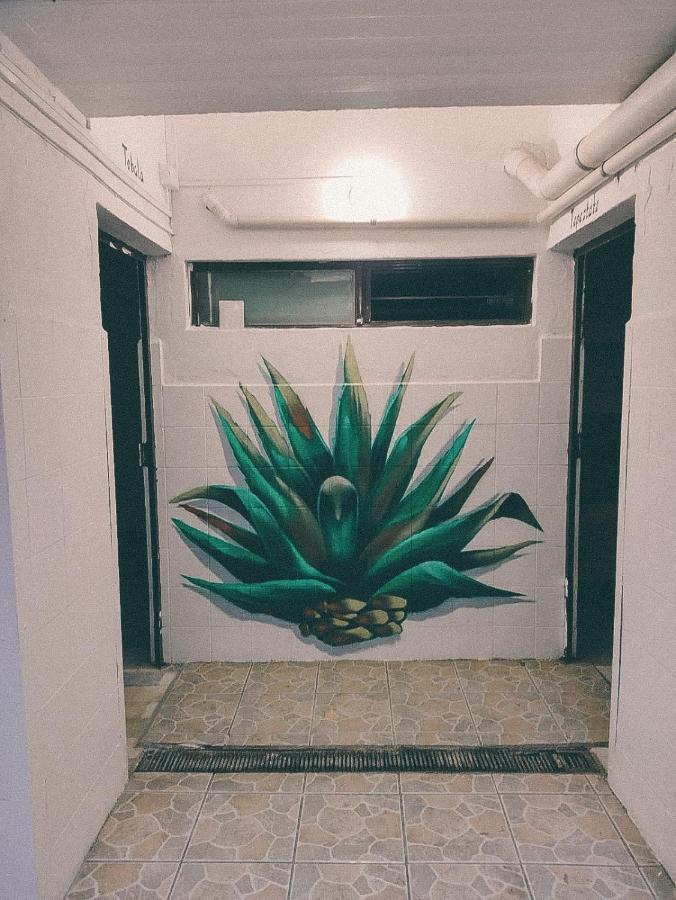 Hostel Casa Maguey Oaxaca Экстерьер фото