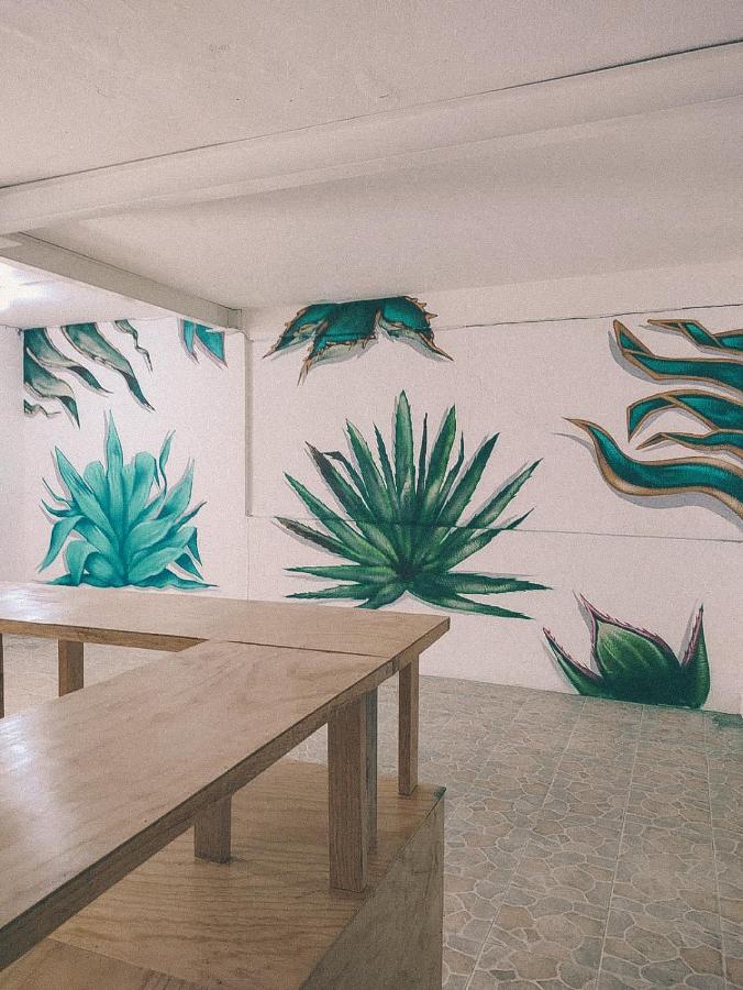 Hostel Casa Maguey Oaxaca Экстерьер фото
