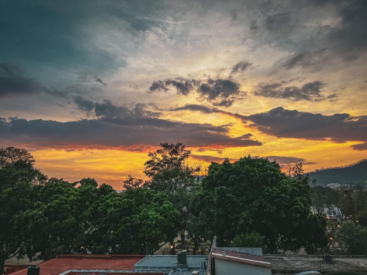 Hostel Casa Maguey Oaxaca Экстерьер фото