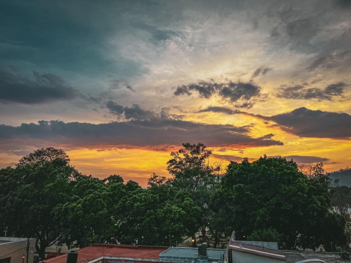 Hostel Casa Maguey Oaxaca Экстерьер фото