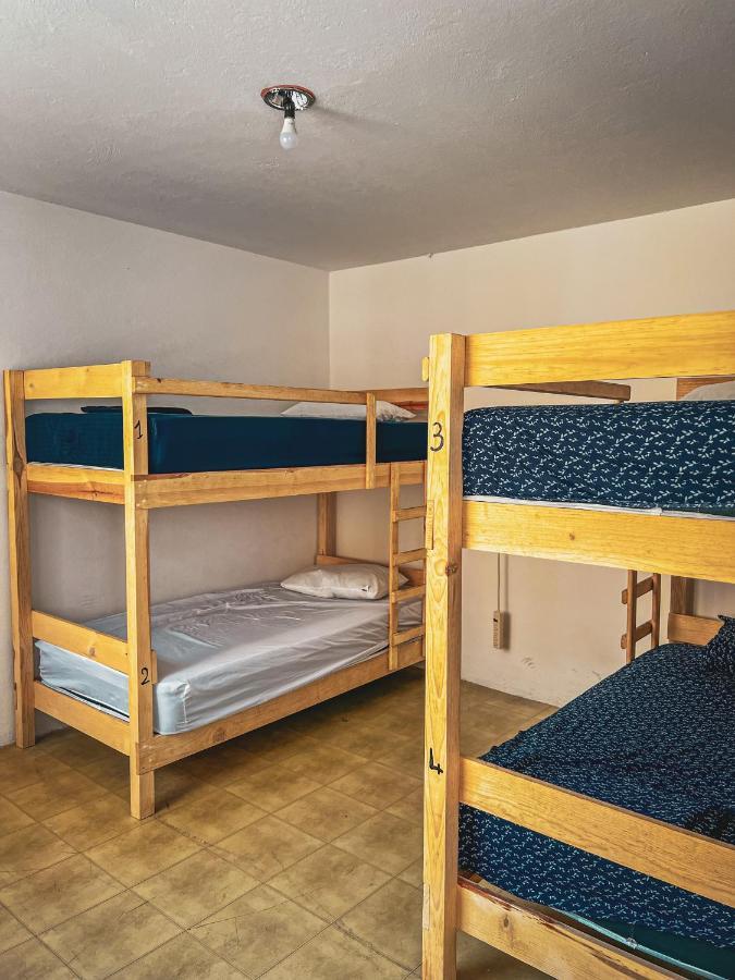 Hostel Casa Maguey Oaxaca Экстерьер фото